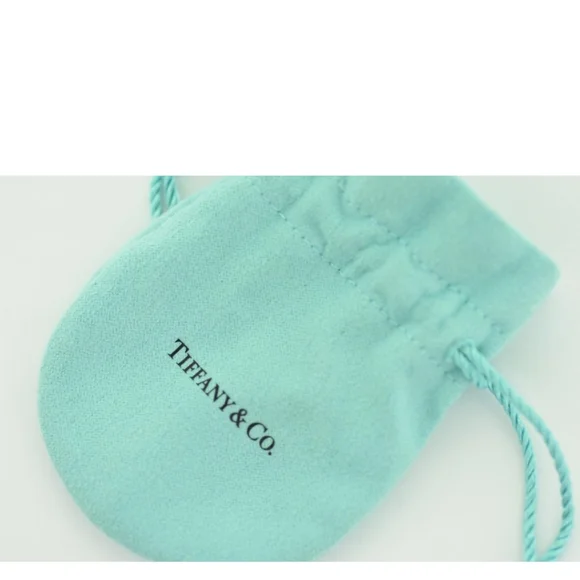 - TIFFANY & Co. LUXURY 🐕 Dog tag - Picture 5 of 9